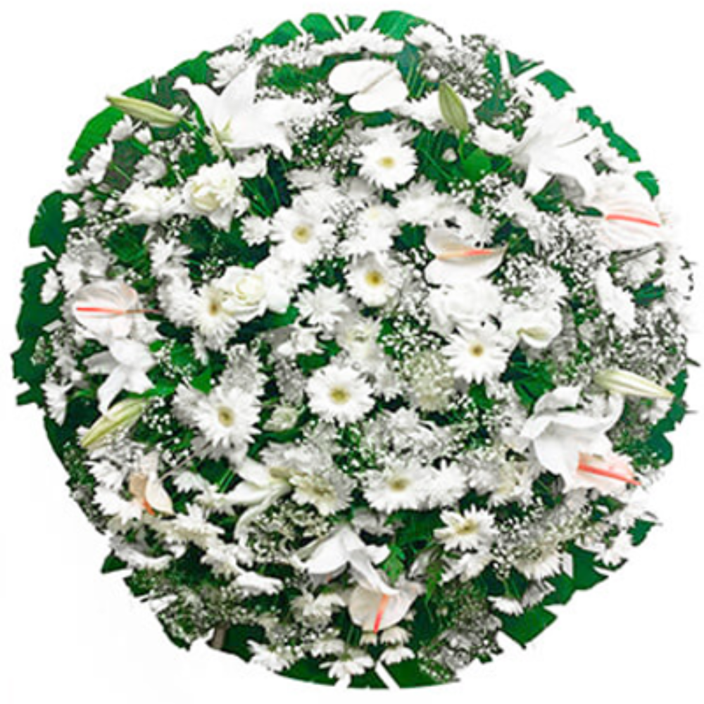 Coroa de Flores BH com Clara Gérbera Anthurium brancos